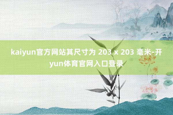 kaiyun官方网站其尺寸为 203 x 203 毫米-开yun体育官网入口登录