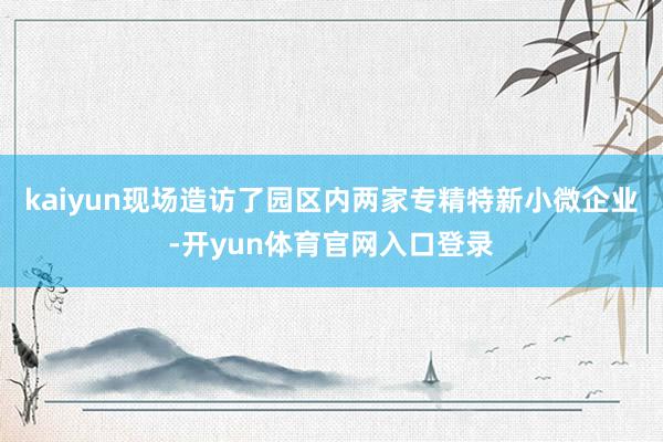 kaiyun现场造访了园区内两家专精特新小微企业-开yun体育官网入口登录