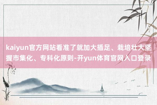 kaiyun官方网站看准了就加大插足、栽培壮大坚握市集化、专科化原则-开yun体育官网入口登录