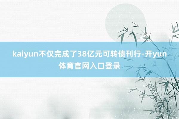 kaiyun不仅完成了38亿元可转债刊行-开yun体育官网入口登录