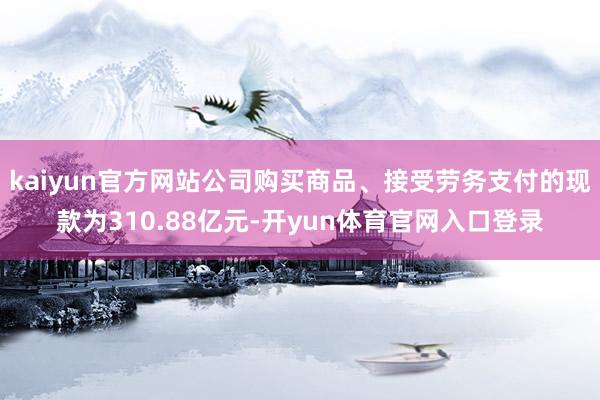 kaiyun官方网站公司购买商品、接受劳务支付的现款为310.88亿元-开yun体育官网入口登录