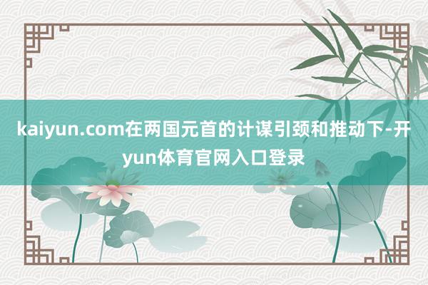 kaiyun.com在两国元首的计谋引颈和推动下-开yun体育官网入口登录