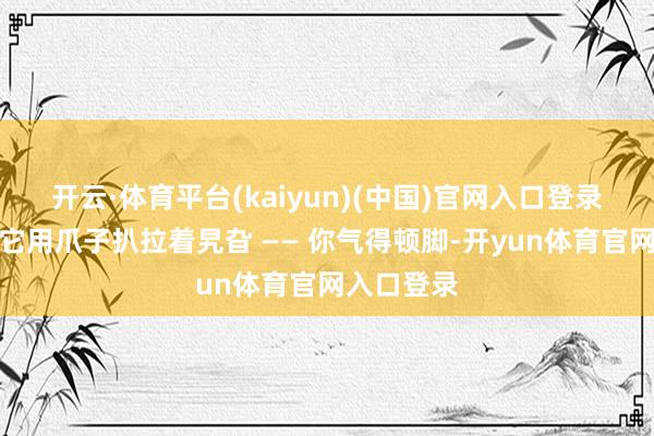 开云·体育平台(kaiyun)(中国)官网入口登录眨眼就见它用爪子扒拉着旯旮 —— 你气得顿脚-开yun体育官网入口登录